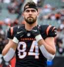 Patriots sign tight end Mitchell Wilcox
